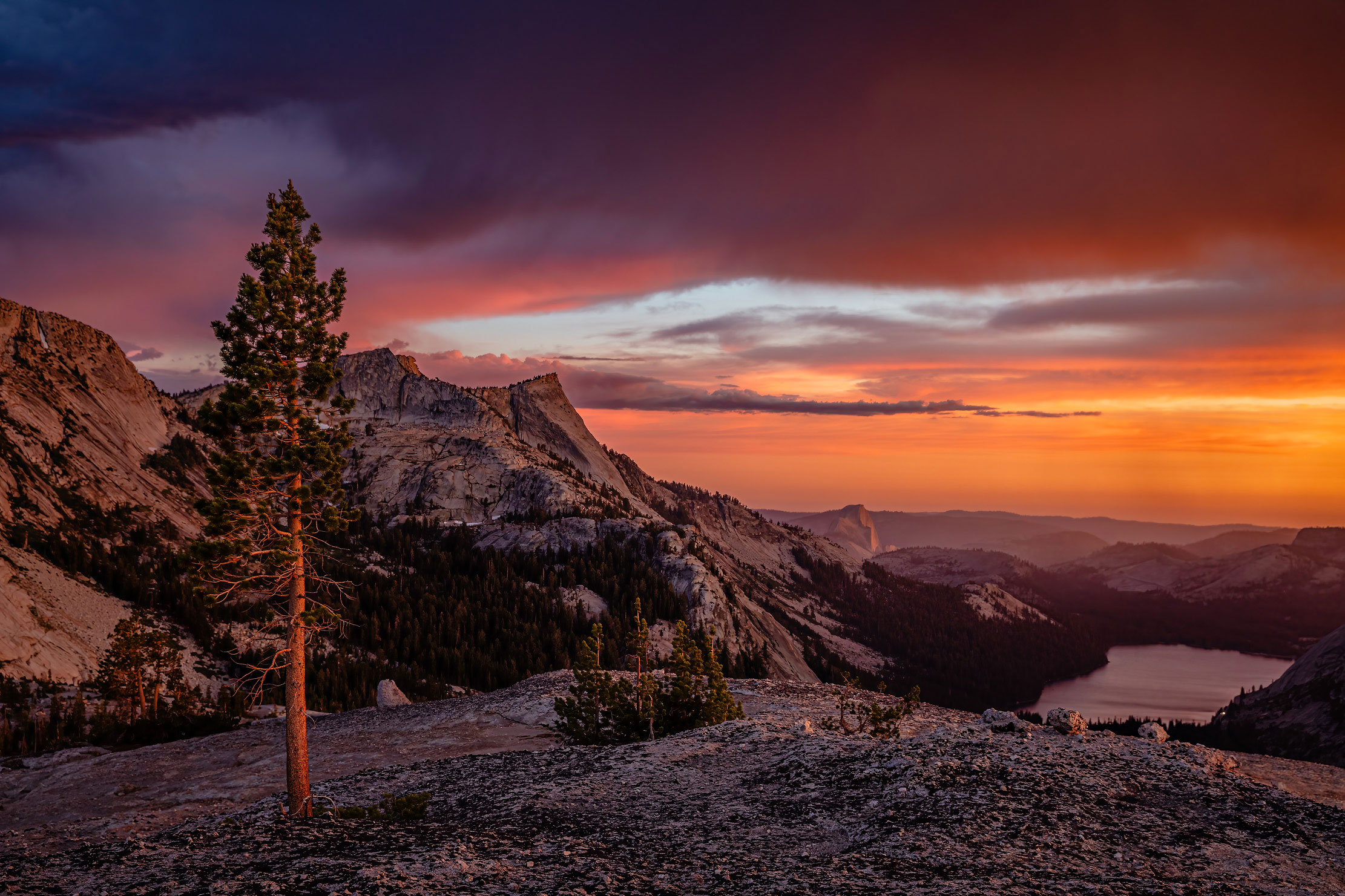 06-Yosemite-Tenaya-lake-tree-sunset