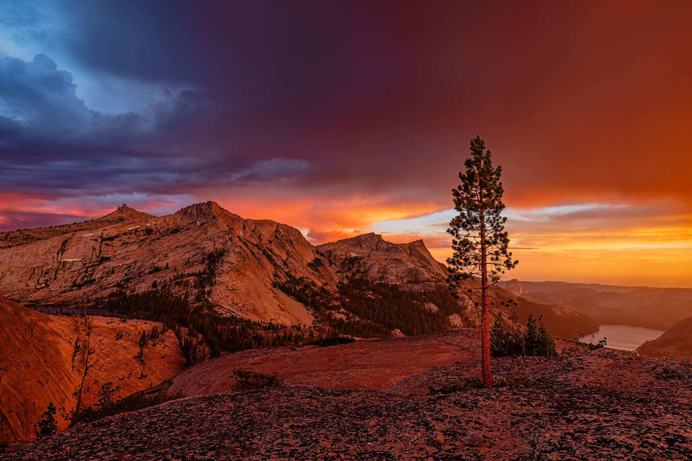 24-Yosemite-Tenaya-peak-lake-tree-sunset