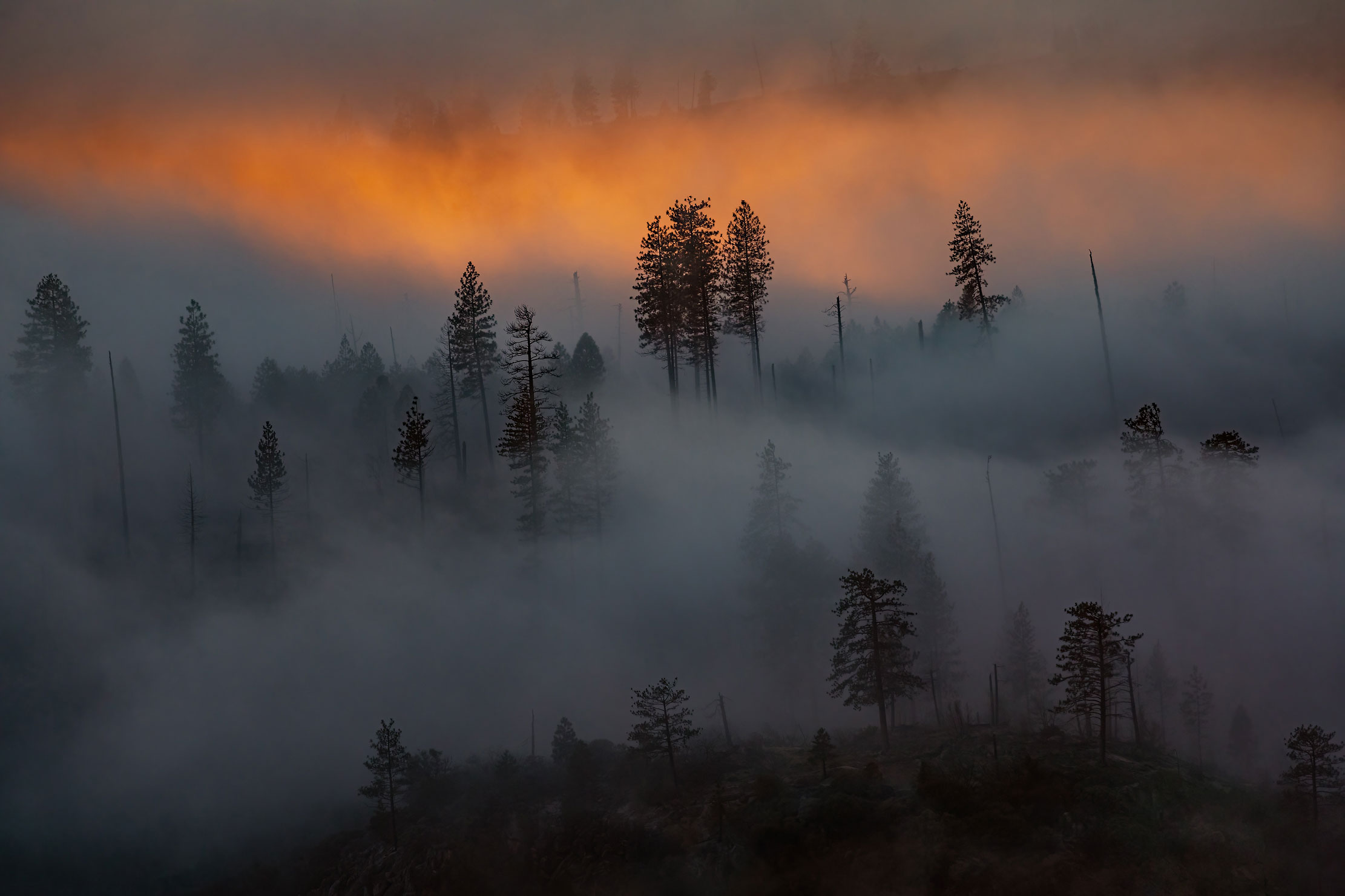 25-Yosemite-sunset-winter-fog-trees