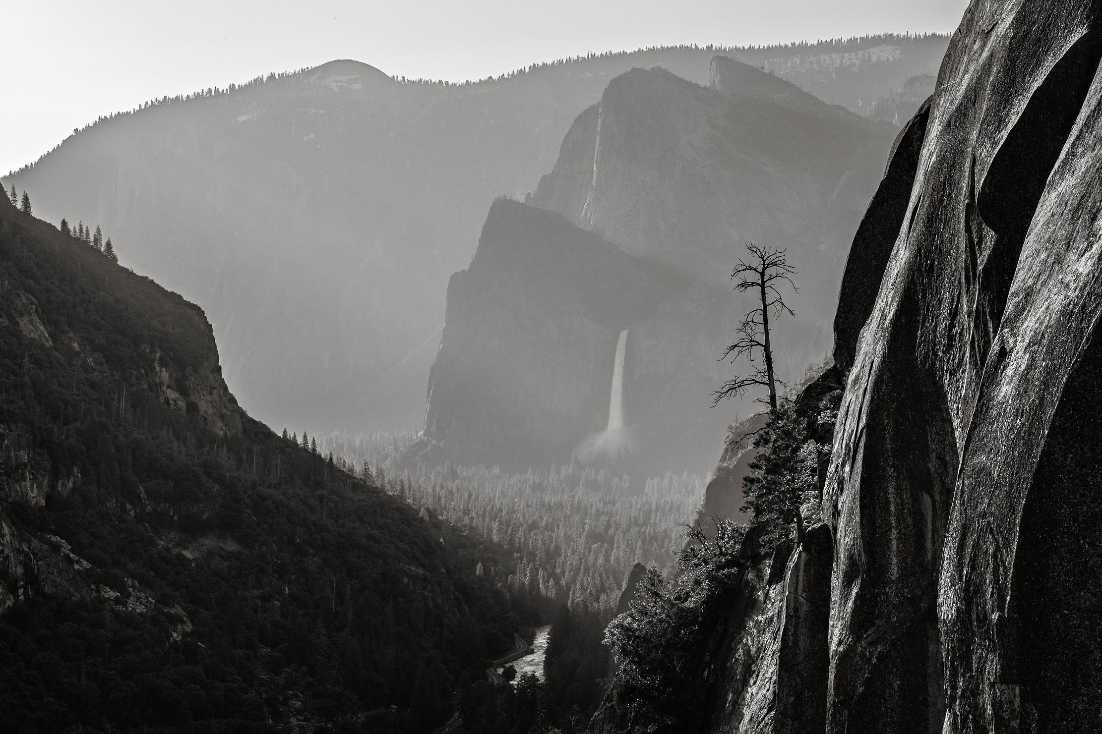 30-Yosemite-Bridalveil-Falls-tree-BW