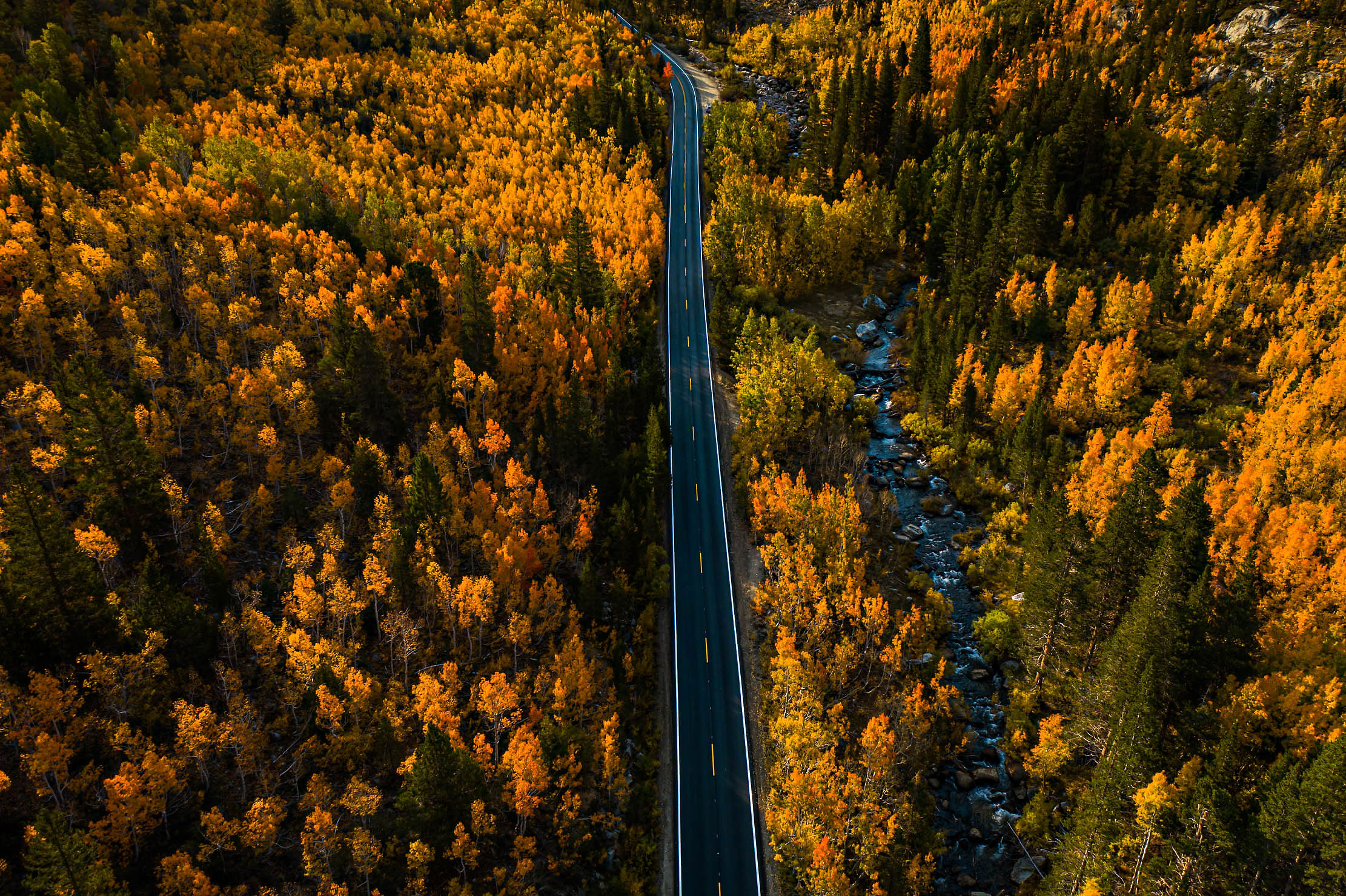 31-Eastern-Sierra-fall-color-road-aerial