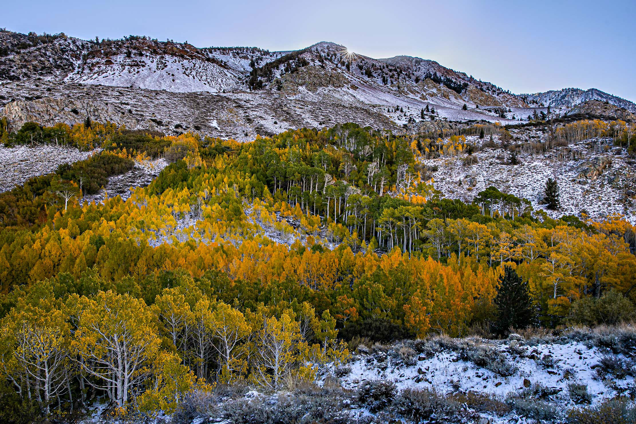 42-Eastern-Sierra-autumn-snow-sunstar