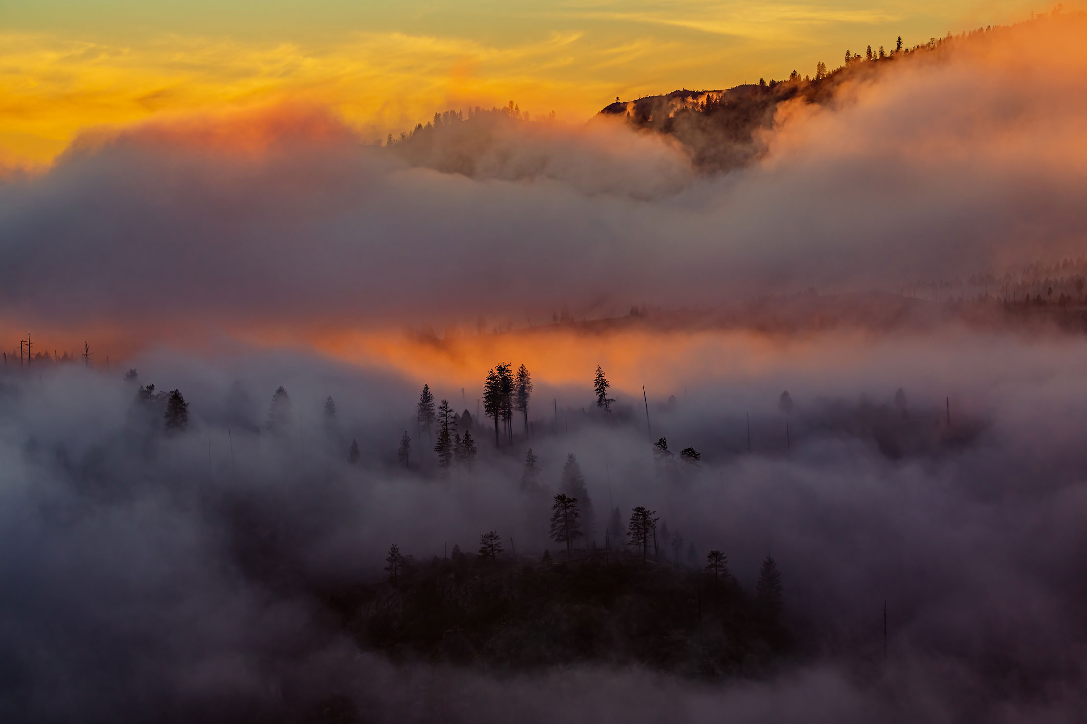 44-Yosemite-sunset-winter-fog-trees-sky