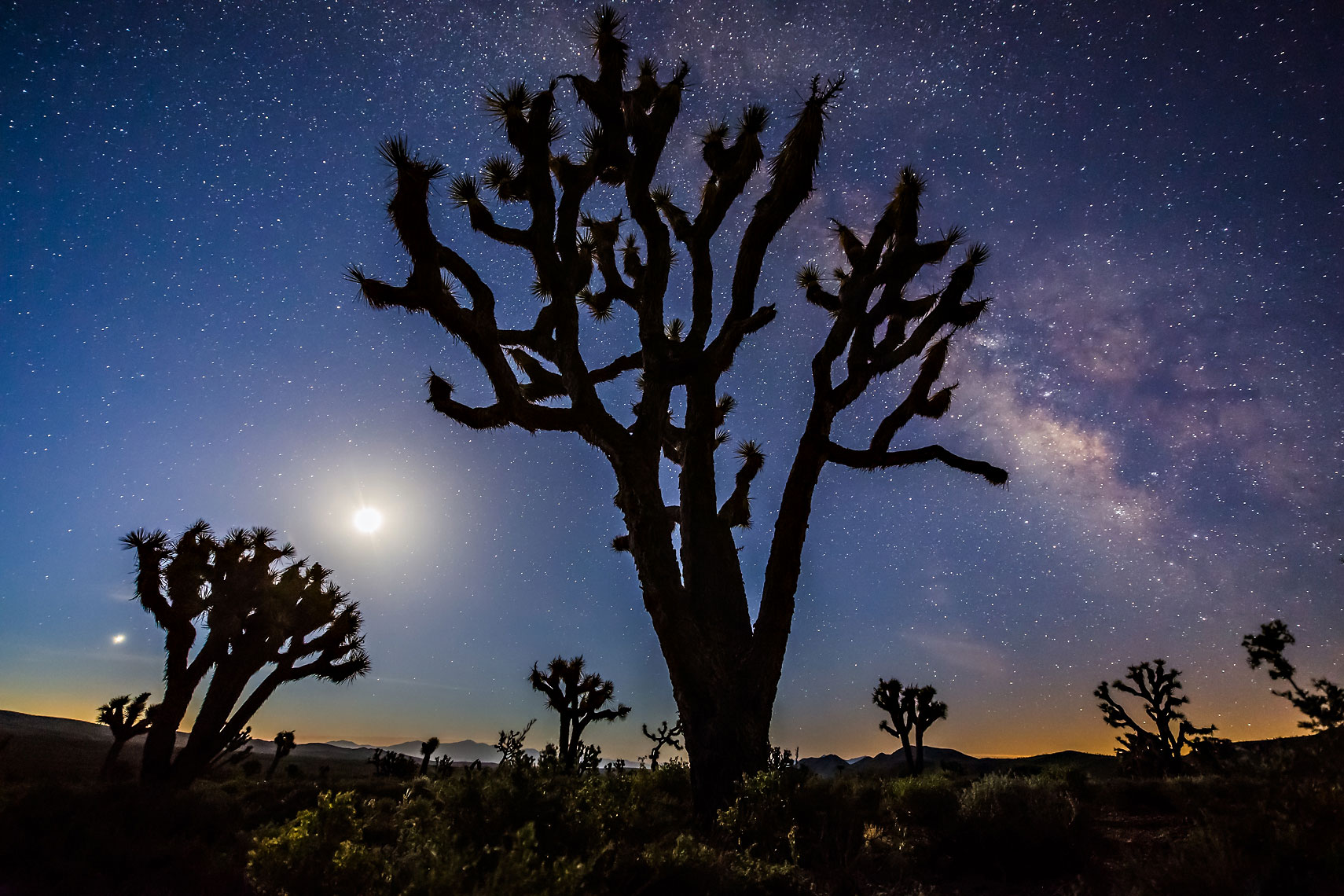 Joshua Tree Milky Way Moon