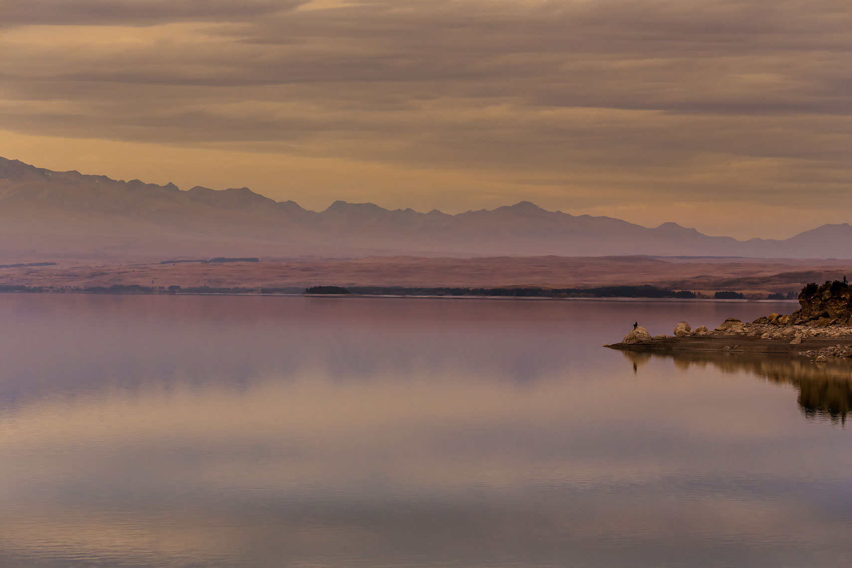 New Zealand Solitude