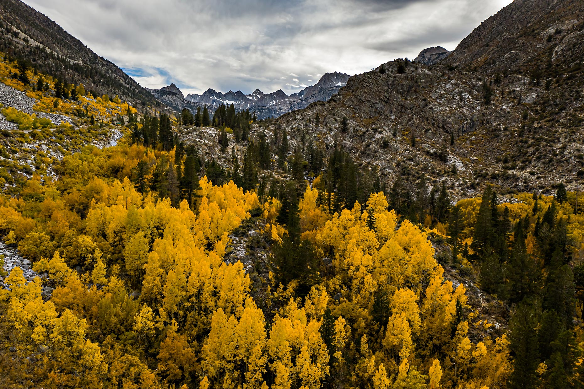 Sabrina-Aspen-Aerial-Fall-Color